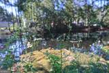 312 Dechene Drive - Photo 41