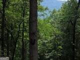 150 Trail Tree Drive - Photo 42