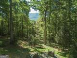 150 Trail Tree Drive - Photo 6