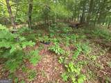 150 Trail Tree Drive - Photo 64
