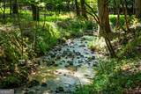 35 Wunder Bear Ridge Road - Photo 5