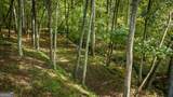 35 Wunder Bear Ridge Road - Photo 60