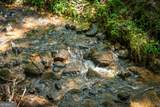 35 Wunder Bear Ridge Road - Photo 7