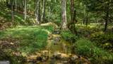 35 Wunder Bear Ridge Road - Photo 80