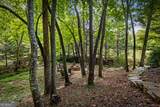 35 Wunder Bear Ridge Road - Photo 85
