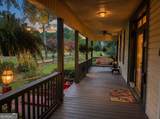 202 Madison Avenue - Photo 4