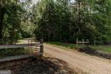 930 James Holcomb Road - Photo 55