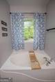 243 Pine Tree Drive - Photo 10