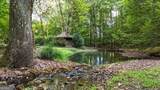 6801 Alabama Highway - Photo 4