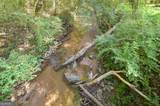 478 Blue Store Road - Photo 59