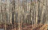 LOT 19 Bear Trail - Photo 14