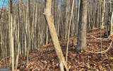 LOT 19 Bear Trail - Photo 15
