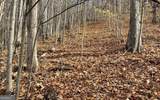 LOT 19 Bear Trail - Photo 16