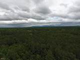 0 Lick Creek Road - Photo 10