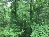 0 Lick Creek Road - Photo 14