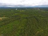 0 Lick Creek Road - Photo 5