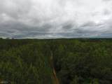 0 Lick Creek Road - Photo 9