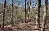 LOT 9 Wolfpen Gap Sub - Photo 16