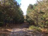 0 Snow Springs Road - Photo 4