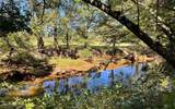37+ ACRES Jarrett Road - Photo 15