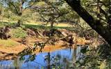 37+ ACRES Jarrett Road - Photo 16