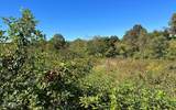 37+ ACRES Jarrett Road - Photo 25