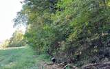 37+ ACRES Jarrett Road - Photo 38