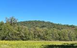 37+ ACRES Jarrett Road - Photo 44