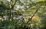 37+ ACRES Jarrett Road - Photo 9