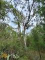 0 La Sole Lane - Photo 11
