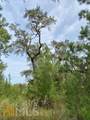 0 La Sole Lane - Photo 12