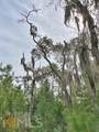 0 La Sole Lane - Photo 15
