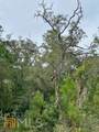 0 La Sole Lane - Photo 16