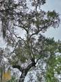 0 La Sole Lane - Photo 21
