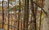 LOT 24B Grandview Drive - Photo 26
