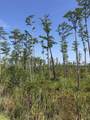 0 Valdosta Highway - Photo 5