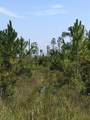 0 Valdosta Highway - Photo 6