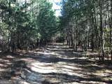 0 Red Bone Ridge Road - Photo 13