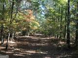 0 Red Bone Ridge Road - Photo 14