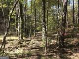 0 Red Bone Ridge Road - Photo 17