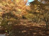 0 Red Bone Ridge Road - Photo 8