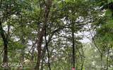 LOT 7 Trillium Heights - Photo 11