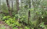 LOT 7 Trillium Heights - Photo 16