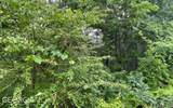 LOT 7 Trillium Heights - Photo 9