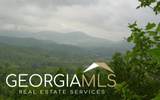#50 Harris Ridge Road - Photo 4