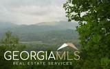 #50 Harris Ridge Road - Photo 5