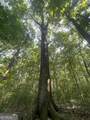 0 High Point Trail - Photo 11
