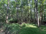 0 High Point Trail - Photo 5