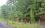 LOT 8 Preserve At Beach Mountain - Photo 1