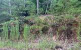 LOT 8 Preserve At Beach Mountain - Photo 10
